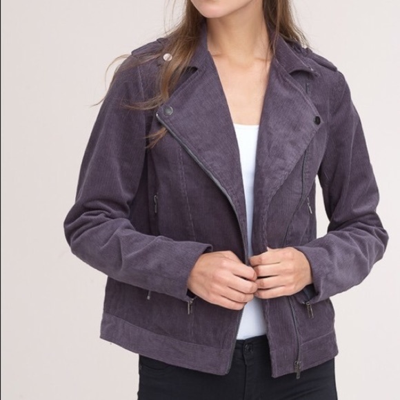 LIEN Plum Moto Jacket - CHARCOAL - Picture 4 of 4